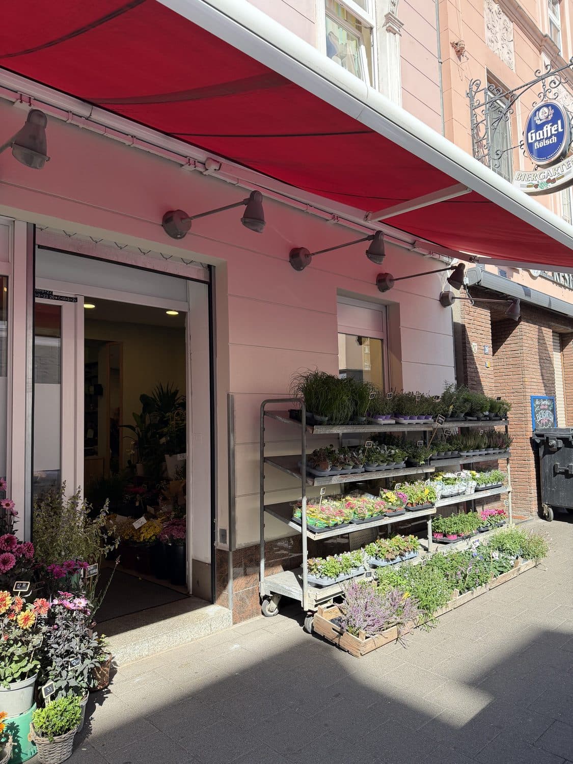 Eingang von Desiree Blumen mit Pflanzenregal und Blumen auf dem Gehweg